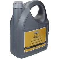 Eļļa motora 15W50 5L Comercial grade Briggs & Stratton Briggs & Stratton 100009V