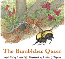 Bumblebee Queen