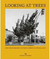 Looking At Trees: New Photography of Trees, Forests & Woodlands New Photography of Trees, Forests & Woodlands
