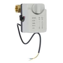 2 laidų motorizuotas rutulinis vožtuvas, žalvarinis, atsparus dilimui, IP54, AC220V, elektrinis rutulinis vožtuvas šaltam ir karštam vandeniui