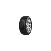 Minerva F205 225/45 R19  96 Y XL