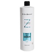 Iv San Bernard Conditioner Derm Z5 1000ml - profesionalus šunų ir kačių kondicionierius problemiškai odai