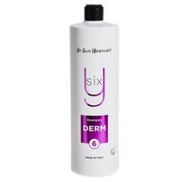Iv San Bernard Shampoo Derm Y6 1000ml - profesionalus šunų ir kačių šampūnas problematiškai odai