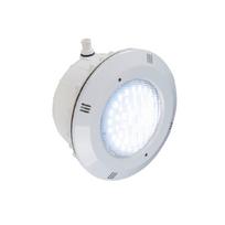 LED 40W, balta-šalta, baseino prožektorius Euro
