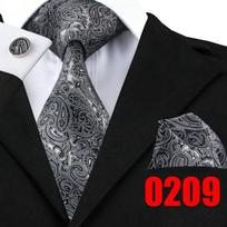 Vyriškas šilkinis kaklaraiščių rinkinys Paisley kaklaraištis nosinaitė sąsagos rinkinys vyrams formalus vestuvinis verslo N-0209