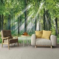 Saulėtas Žalias Miškas 3D Sienų Tapyba Svetainė Restoranas Kavinė Foninė Tapetai Namų Dekoras 200 cm(W) x 140 cm(H) black