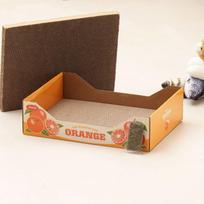 [Gyvūnas] Oranžinė dėžutė draskyklė