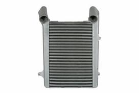 tarpinis suslėgto oro aušintuvas, kompresorius THERMOTEC DADA002TT