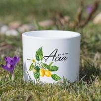 Keramikinis vazonas "Ačiū"