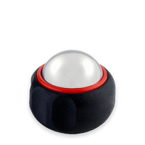 Pure Cold Massage Roller