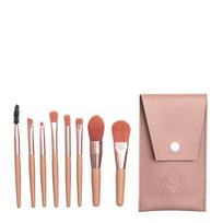 LJUS Travel Brush rinkinys