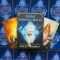 Divine Animals Oracle kortos
