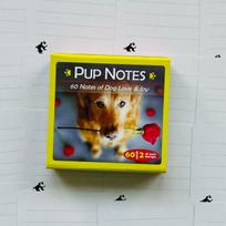 Inspirational Pup Notes: 60 Meilės ir Džiaugsmo kortų