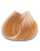 FarmaVita ilgalaikiai plaukų dažai FarmaVita Life Color Plus 10.34 100ml
