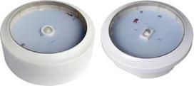 Libra EX-DP8033LCS-NM Open 2.3W IP65 175Lm Emergency luminaire EX-DP8033LCS-NM Open | 7392529034721