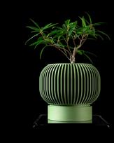 Vazonas YUSO 02 3D PLA