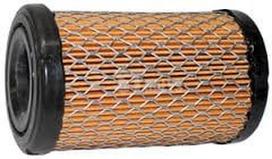 Oro filtras Briggs and Stratton 796031