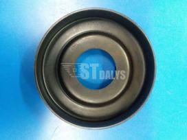 Guolio dangtelis Simplicity - Snapper 1657969SM