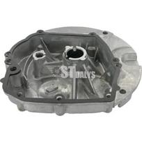 Karteris Briggs and Stratton variklio 493279