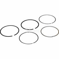 RS100 piston spring