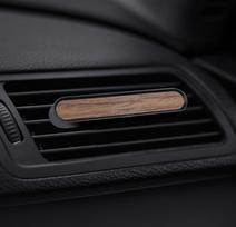 MEDINIS AUTOMOBILIO ORO GAIVIKLIS Į VĖDINIMO GROTELES