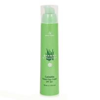 ANNA LOTAN Greens Camellia Tinted Day Cream SPF30 70ml