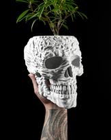 Vazonas SKULL 3D PLA