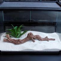 Corner Climbing Branch Fish Accessories Terrarium Exercise Toy 24.7x5x5cm