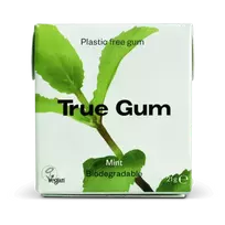 True Gum Kramtomoji guma be cukraus 21g, Mint