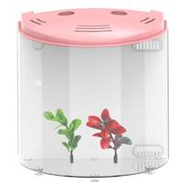 5 l USB LED žuvų akvariumų akvariumai Half Moon mini akvariumas, akrilas, didelės talpos stalinis vandens žuvų gyvūnėlių reikmenys rožinė