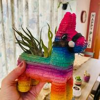 Spalvingas Pinata vazonas meksikietiška tema Gyvūnas arklio formos vaza Derva sultingų augalų talpykla Biuro sodo dekoravimo vazonėlis įvairiaspalvis