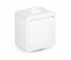 Įrengimo jungiklis šviesos / iškvietimo mygtukas n/t 10a 250v wnt-6/7s montis