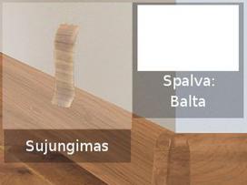 Grindjuostė termoplasto Vox, (113) Balta | Sujungimas SMART FLEX / IZZI