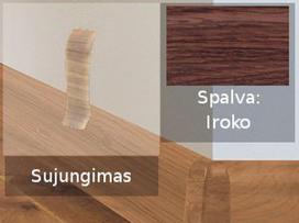 Grindjuostė termoplasto Vox, (50) iroko | Sujungimas SMART FLEX / IZZI