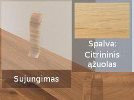 Grindjuostė termoplasto Vox, (84) citrininis ąžuolas | Sujungimas SMART FLEX / IZZI