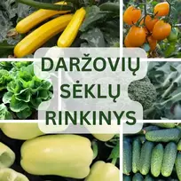 Daržovių sėklų rinkinys NOJAUS SĖKLOS hermetikuose. 20pak