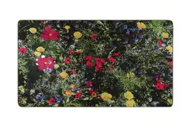 Kilimas (80 x 150), „Conceptum Hypnose“, daugiaspalvis, 80 x 150, cm