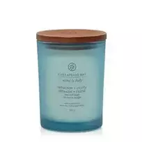 Chesapeake Bay Reflection & Clatiry Candle ( tumbler medium ) - Kvapnioji žvakė, 250.0g