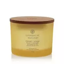 Chesapeake Bay Strength & Energy Candle ( trys dagtys ) - kvapioji žvakė, 312,0 g
