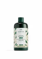 The Body Shop - Kondicionierius nuo pleiskanų Ginger (Conditioner) - 400 ml
