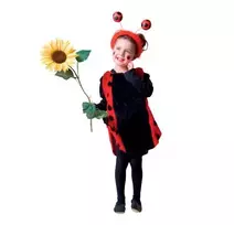 Boružėlės kostiumas 104  cm