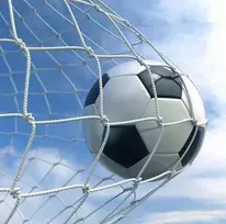 Futbolo vartų tinklas Netex 5x2x0,8x1,5m PES4mm
