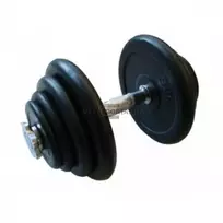 Surenkamas hantelis Prove 20kg (metaliniai gumuoti svoriai)