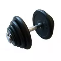 Surenkamas hantelis Prove 9kg (metaliniai gumuoti svoriai)