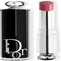 „Dior Addict“ lūpų dažai 566, 1 vnt.