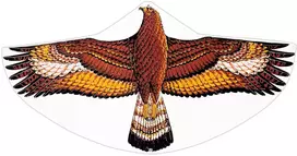 GUNTHER aitvaras Erelis, 122x68 cm, PE, 1146