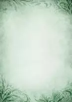 Popierius diplomams EMERALD A4 170g 25lap