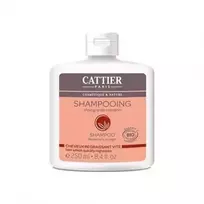 Cattier Paris Cattier riebių plaukų šampūnas 250ml