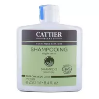 Cattier Paris Cattier odos ir riebių plaukų šampūnas, 250 ml