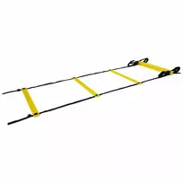 Tunturi Agility kopėčios 4,5m